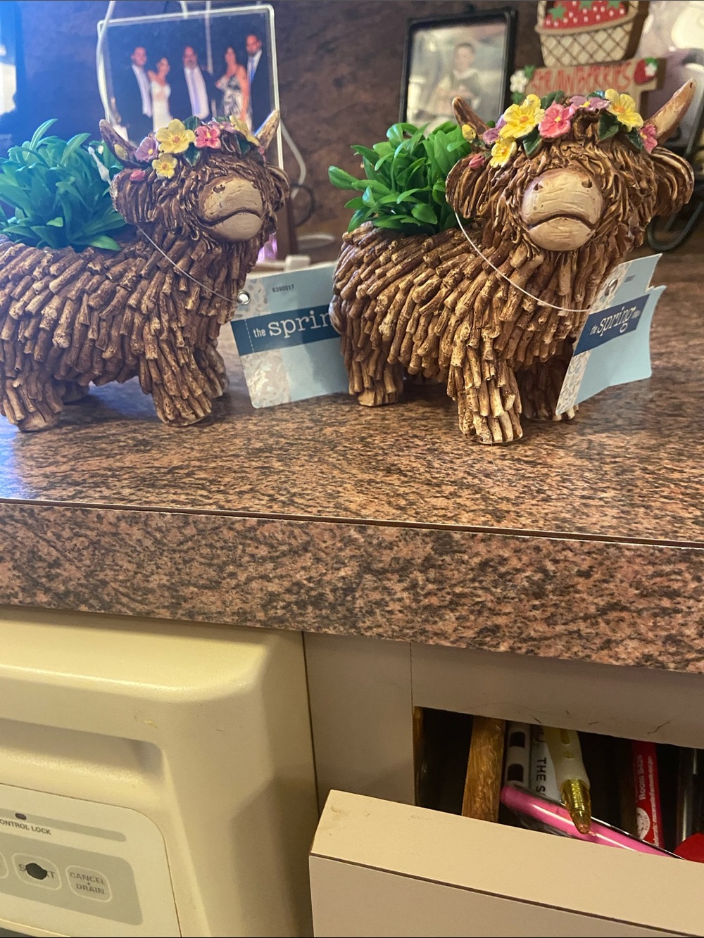 Decorative Highland Cow Planter with Floral Crown - Brown